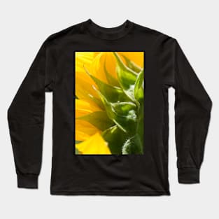 Behind the Yellow Sunflower Long Sleeve T-Shirt